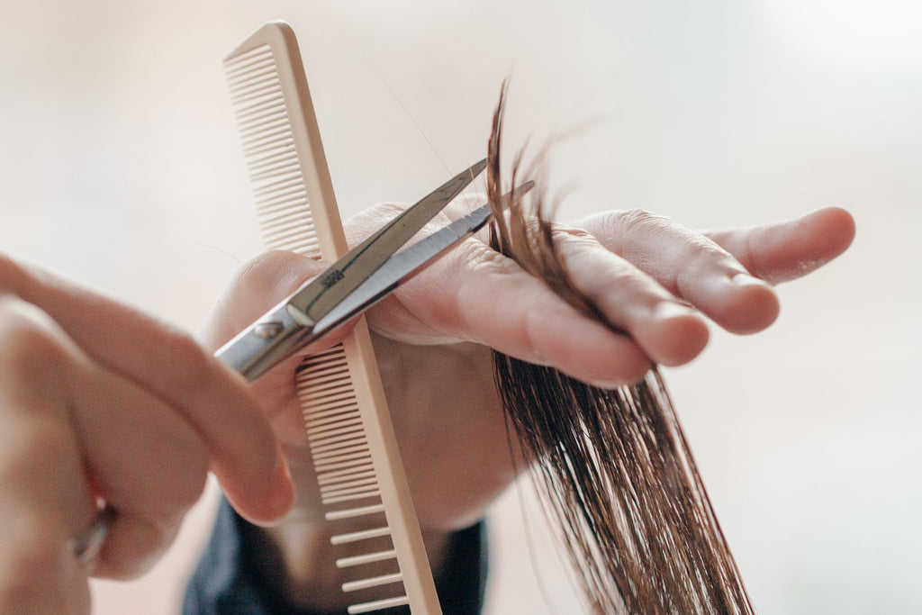 Snip! Snip! Snip! Why making time for a regular trim can transform your hair